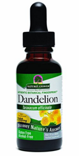 dandelion.png